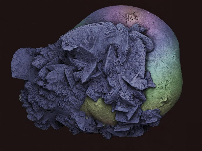 Illustration for article titled These Close-Up Views Of Nature And Technology Are Simply Awe-Inspiring